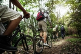 What are the different mountain bike categories?